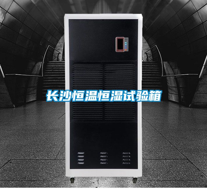 国产精品探花在线观看 长沙恒温恒湿试验箱