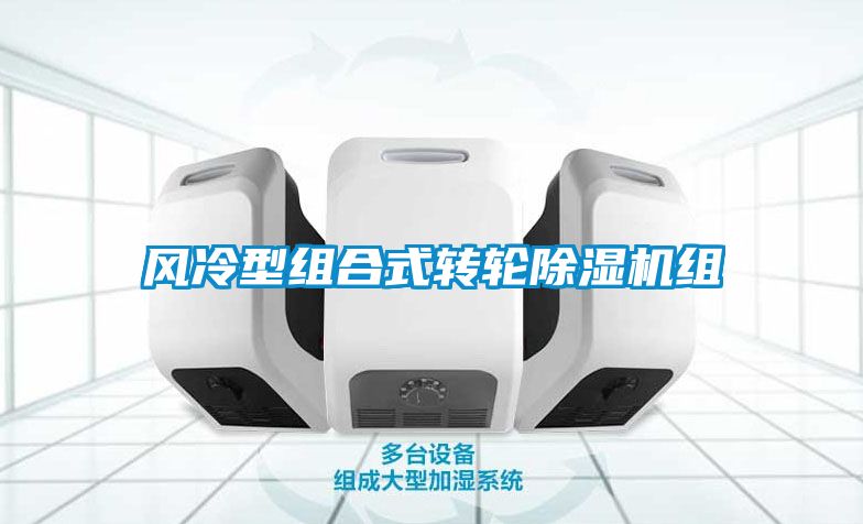 国产精品欧美激情视频 风冷型组合式转轮除湿机组