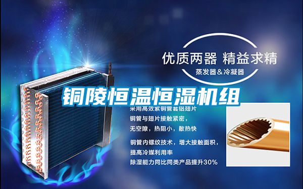 国产精品探花在线观看 铜陵恒温恒湿机组