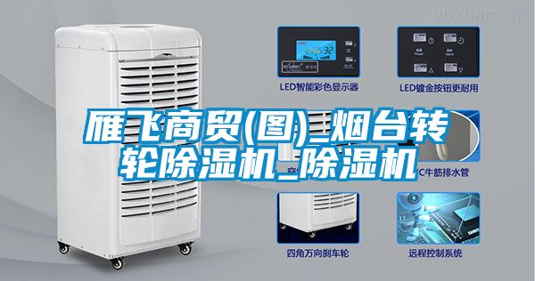 国产精品欧美激情视频 雁飞商贸(图)_烟台转轮除湿机_除湿机