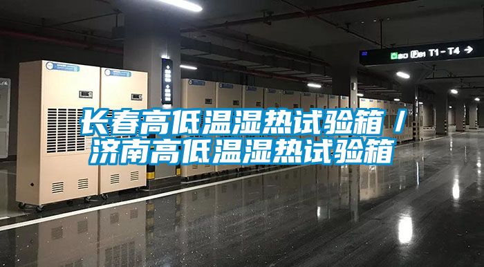 国产精品三级在线观看 长春高低温湿热试验箱／济南高低温湿热试验箱
