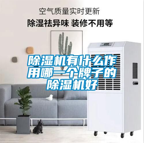 国产精品三级在线观看 除湿机有什么作用哪一个牌子的除湿机好