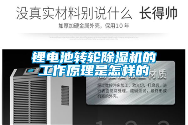 国产精品欧美激情视频 锂电池转轮除湿机的工作原理是怎样的