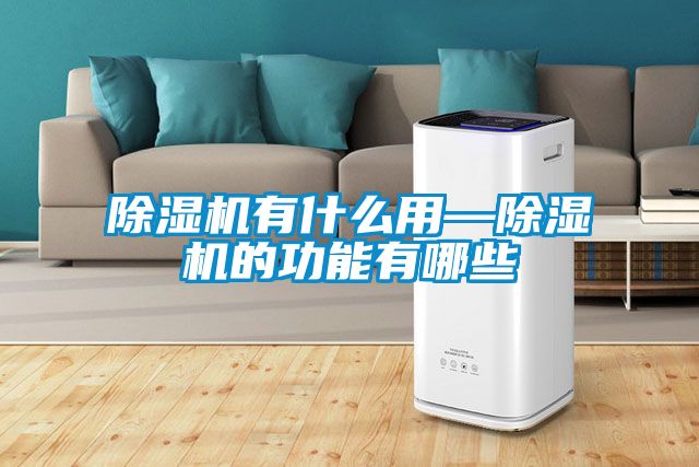 国产精品探花在线观看 除湿机有什么用—除湿机的功能有哪些