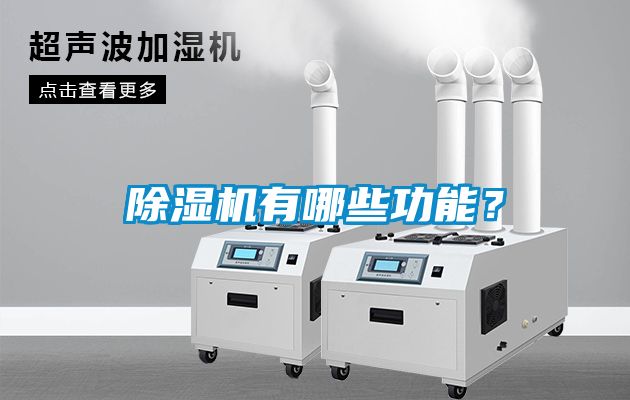 国产精品欧美激情视频 除湿机有哪些功能？