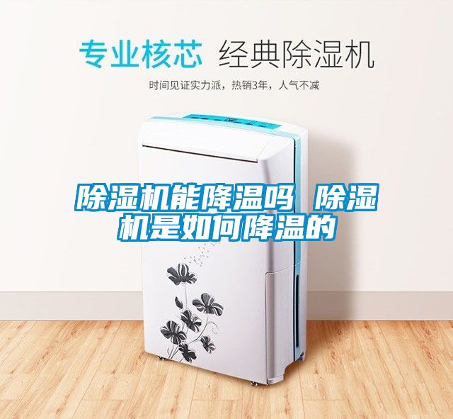 国产精品三级在线观看 除湿机能降温吗 除湿机是如何降温的