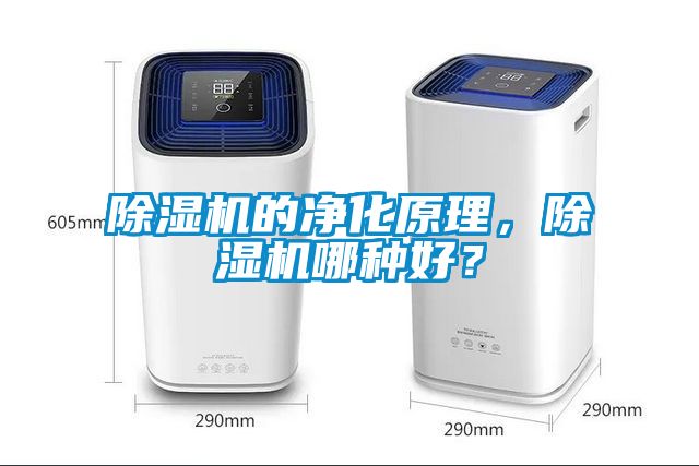 国产精品探花在线观看 除湿机的净化原理，除湿机哪种好？