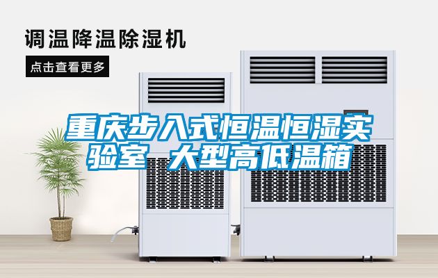 国产精品探花在线观看 重庆步入式恒温恒湿实验室 大型高低温箱