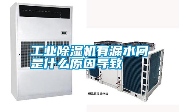 国产精品欧美激情视频 工业除湿机有漏水问題是什么原因导致