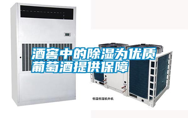 国产精品三级在线观看 酒窖中的除湿为优质葡萄酒提供保障