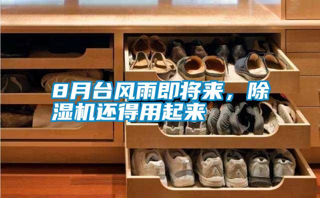国产精品三级在线观看 8月台风雨即将来，除湿机还得用起来