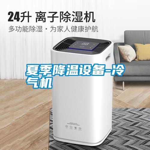 国产精品三级在线观看 夏季降温设备-冷气机