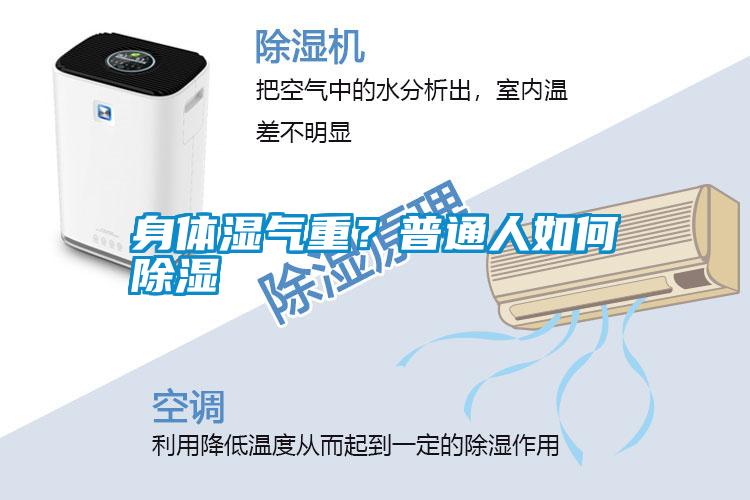 国产精品欧美激情视频 身体湿气重？普通人如何除湿