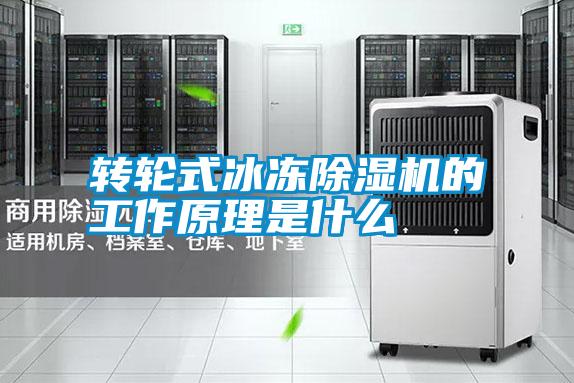 国产精品欧美激情视频 转轮式冰冻除湿机的工作原理是什么