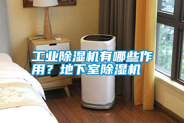 国产精品探花在线观看 工业除湿机有哪些作用？地下室除湿机