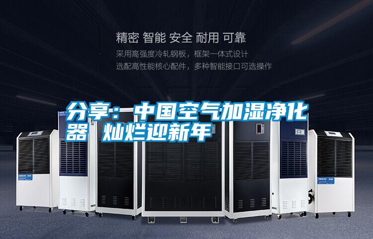 国产精品欧美激情视频 分享：中国空气加湿净化器 灿烂迎新年
