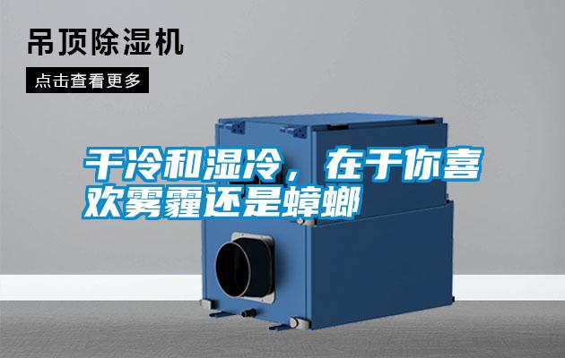 国产精品探花在线观看 干冷和湿冷，在于你喜欢雾霾还是蟑螂
