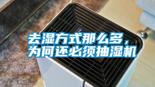 国产精品探花在线观看 去湿方式那么多，为何还必须抽湿机
