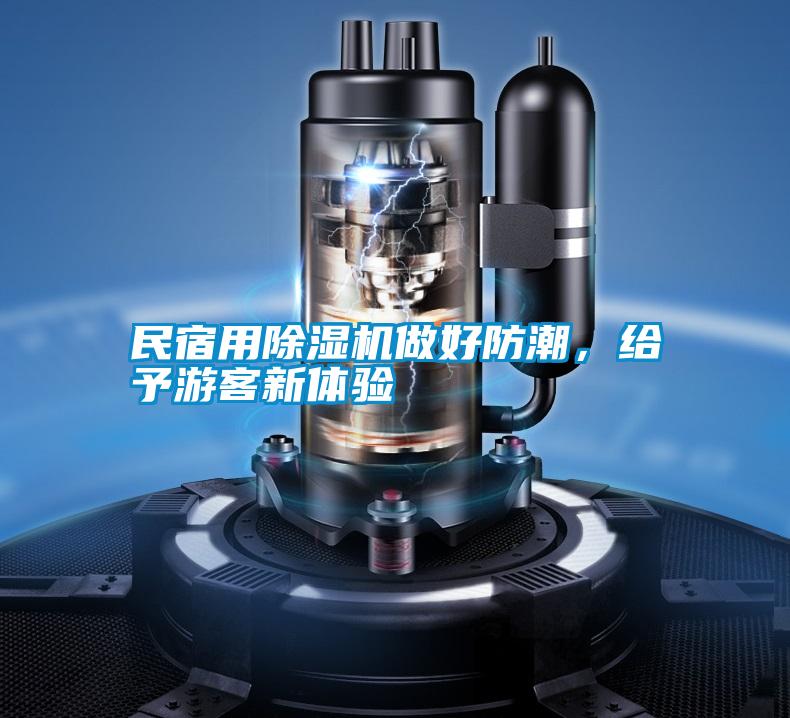 国产精品三级在线观看 民宿用除湿机做好防潮，给予游客新体验