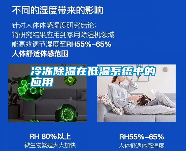 国产精品欧美激情视频 冷冻除湿在低湿系统中的应用