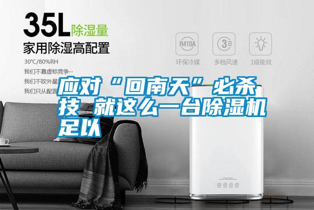 国产精品三级在线观看 应对“回南天”必杀技 就这么一台除湿机足以