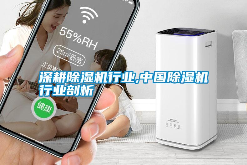 国产精品三级在线观看 深耕除湿机行业,中国除湿机行业剖析