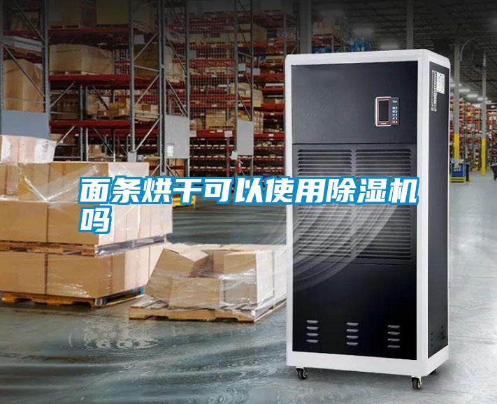 国产精品欧美激情视频 面条烘干可以使用除湿机吗