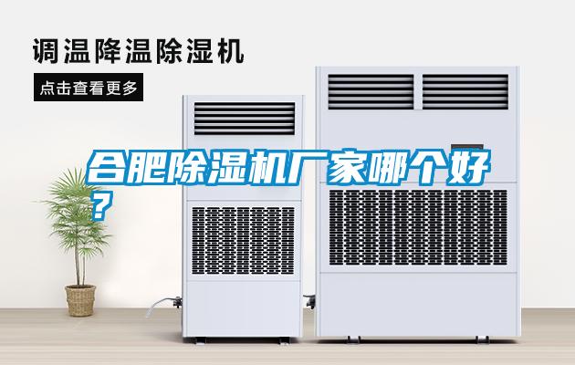 国产精品欧美激情视频 合肥除湿机厂家哪个好？