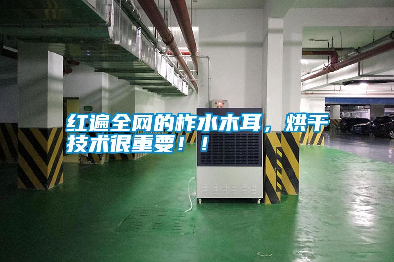 国产精品探花在线观看 红遍全网的柞水木耳，烘干技术很重要！！