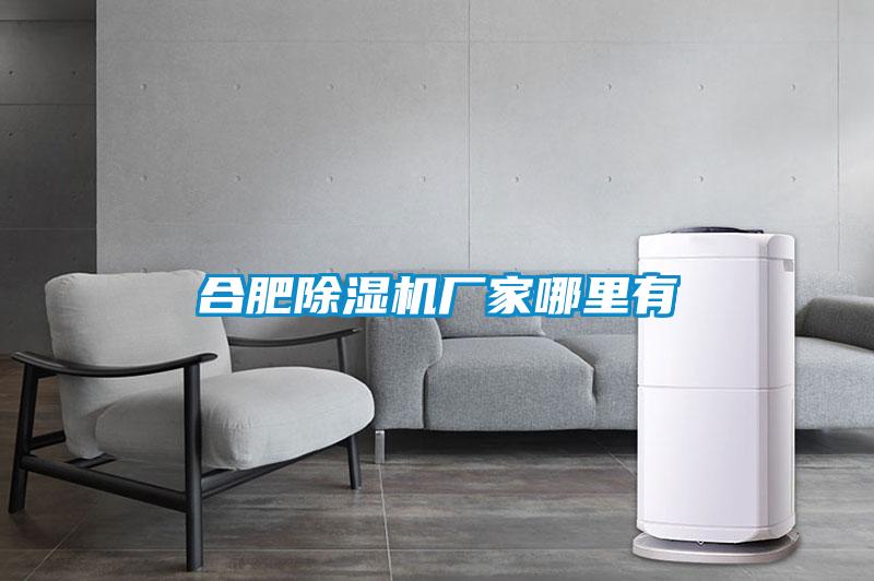 国产精品三级在线观看 合肥除湿机厂家哪里有