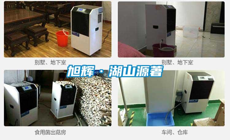 国产精品欧美激情视频 旭辉·湖山源著
