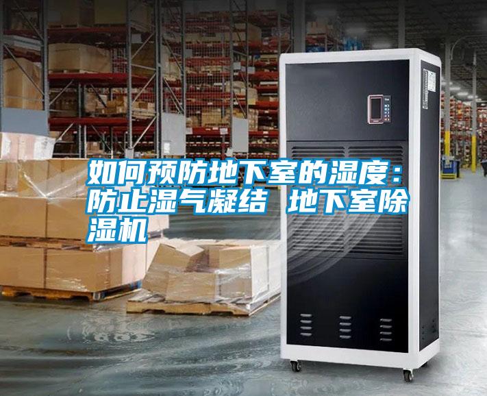 国产精品三级在线观看 如何预防地下室的湿度：防止湿气凝结 地下室除湿机