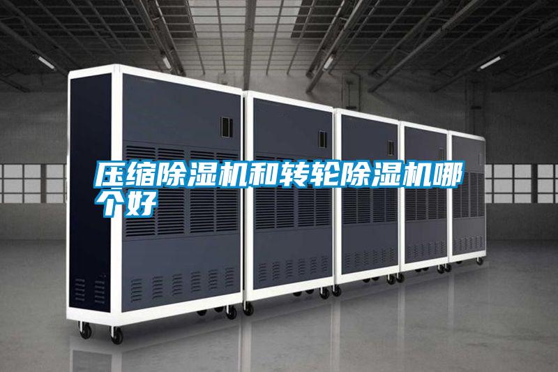 国产精品三级在线观看 压缩除湿机和转轮除湿机哪个好