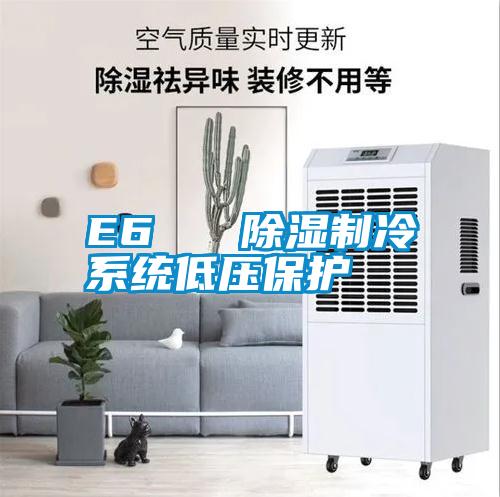 国产精品探花在线观看 E6   除湿制冷系统低压保护