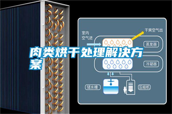 国产精品欧美激情视频 肉类烘干处理解决方案