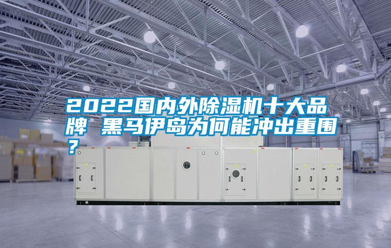 国产精品三级在线观看 2022国内外除湿机十大品牌 黑马伊岛为何能冲出重围？