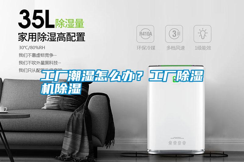国产精品欧美激情视频 工厂潮湿怎么办？工厂除湿机除湿