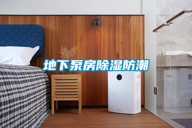 国产精品探花在线观看 地下泵房除湿防潮