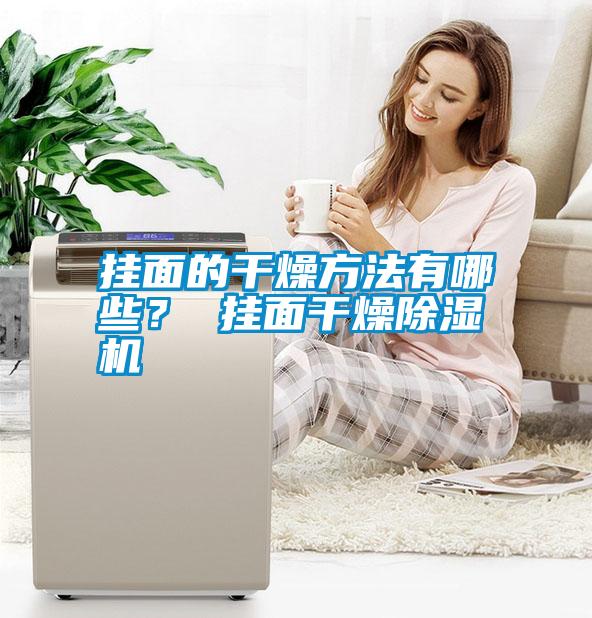 国产精品三级在线观看 挂面的干燥方法有哪些？ 挂面干燥除湿机