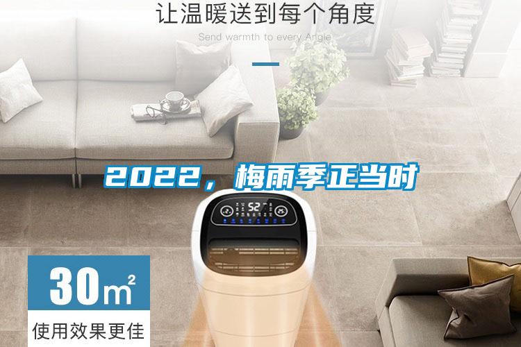 国产精品三级在线观看 2022，梅雨季正当时