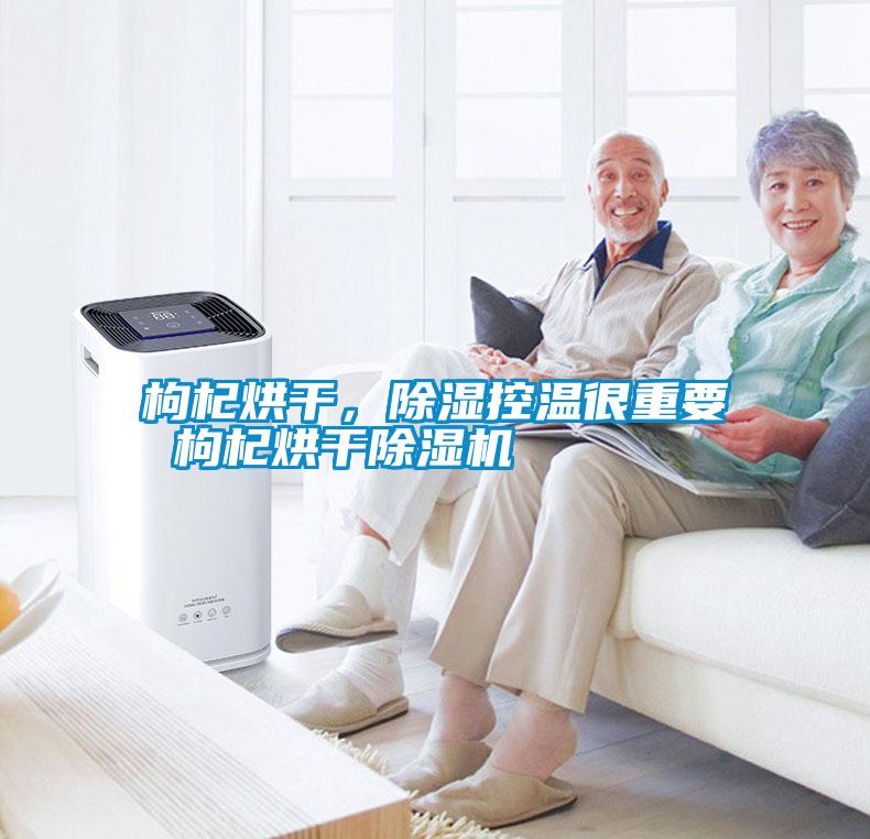 国产精品欧美激情视频 枸杞烘干，除湿控温很重要 枸杞烘干除湿机