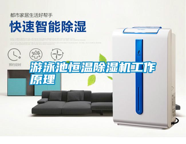 国产精品探花在线观看 游泳池恒温除湿机工作原理