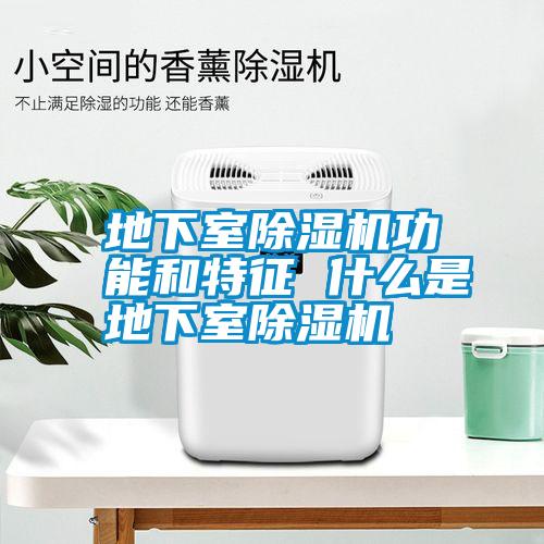 国产精品三级在线观看 地下室除湿机功能和特征 什么是地下室除湿机