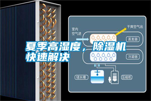 国产精品欧美激情视频 夏季高湿度，除湿机快速解决