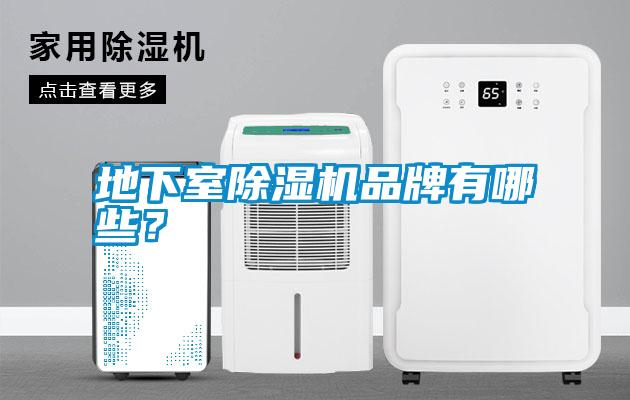 国产精品三级在线观看 地下室除湿机品牌有哪些？