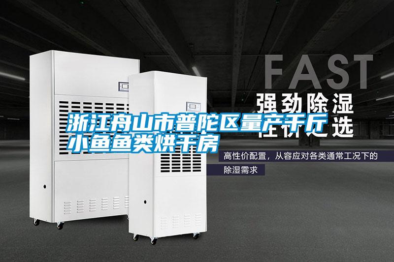 国产精品探花在线观看 浙江舟山市普陀区量产千斤小鱼鱼类烘干房
