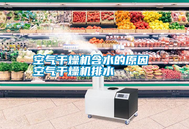 国产精品欧美激情视频 空气干燥机含水的原因 空气干燥机排水
