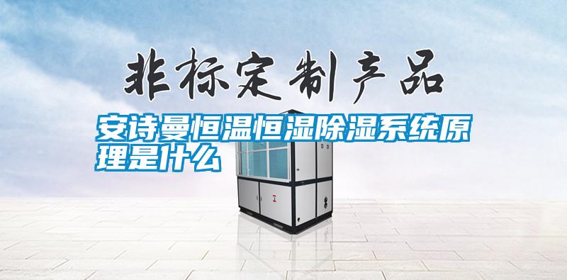 国产精品三级在线观看 安诗曼恒温恒湿除湿系统原理是什么
