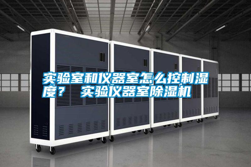 国产精品欧美激情视频 实验室和仪器室怎么控制湿度？ 实验仪器室除湿机