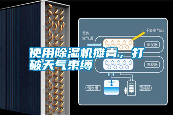 国产精品欧美激情视频 使用除湿机摊青，打破天气束缚